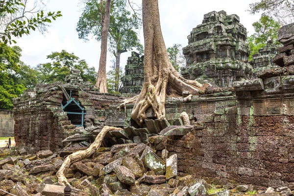 Ta Prohm tapınak kalıntıları olduğunu Khmer antik tapınak Siem Reap içinde karmaşık Angkor Wat, Kamboçya'da bir yaz günü
