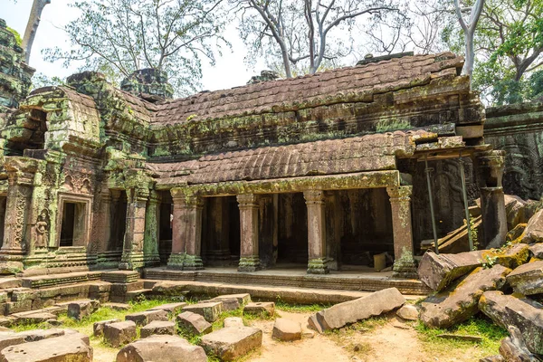 Ta Prohm tapınak kalıntıları olduğunu Khmer antik tapınak Siem Reap içinde karmaşık Angkor Wat, Kamboçya'da bir yaz günü