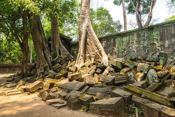 Ta Prohm tapınak kalıntıları olduğunu Khmer antik tapınak Siem Reap içinde karmaşık Angkor Wat, Kamboçya'da bir yaz günü