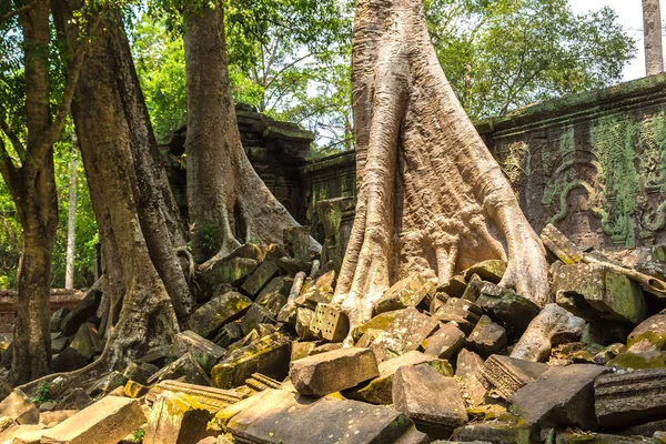 Prohm Ruinas Del Templo Khmer Antiguo Templo Complejo Angkor Wat — Foto de Stock