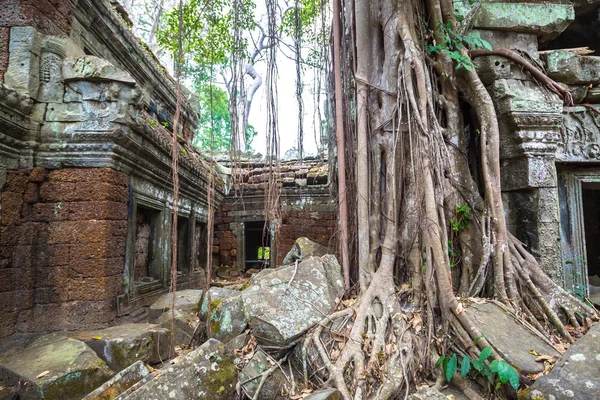 Ερείπια Ναού Prohm Είναι Khmer Αρχαίος Ναός Στο Συγκρότημα Angkor — Φωτογραφία Αρχείου