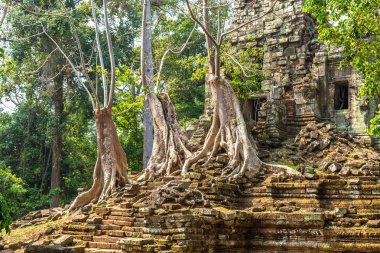 Siem Reap içinde karmaşık Angkor Wat, Kamboçya'da bir yaz günü Khmer antik tapınak Preah Palilay tapınak kalıntıları olduğunu