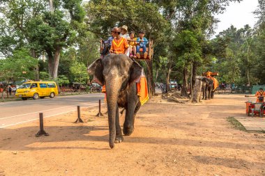 Angkor Wat, Kamboçya - 15 Mart 2018: Turist vasıl Angkor Wat, Siem Reap, Kamboçya'da bir yaz günü yakınındaki alan bir fil binmek