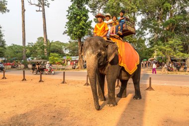 Angkor Wat, Kamboçya - 15 Mart 2018: Turist vasıl Angkor Wat, Siem Reap, Kamboçya'da bir yaz günü yakınındaki alan bir fil binmek