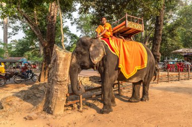Angkor Wat, Kamboçya - 15 Mart 2018: Turist vasıl Angkor Wat, Siem Reap, Kamboçya'da bir yaz günü yakınındaki alan bir fil binmek