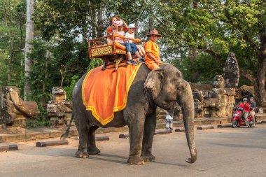 Angkor Wat, Kamboçya - 15 Mart 2018: Turist vasıl Angkor Wat, Siem Reap, Kamboçya'da bir yaz günü yakınındaki alan bir fil binmek
