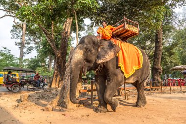 Angkor Wat, Kamboçya - 15 Mart 2018: Turist vasıl Angkor Wat, Siem Reap, Kamboçya'da bir yaz günü yakınındaki alan bir fil binmek