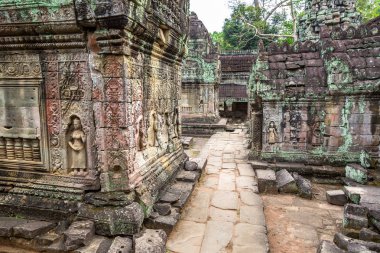 Siem Reap, Kamboçya'da bir yaz günü karmaşık Angkor Wat tapınakta Preah Khan