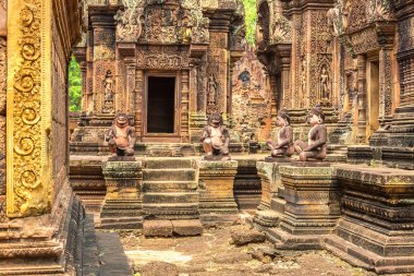 Banteay Srei Siem Reap, Kamboçya'da bir yaz günü karmaşık Angkor Wat Tapınağı