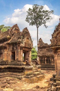 Banteay Srei Siem Reap, Kamboçya'da bir yaz günü karmaşık Angkor Wat Tapınağı