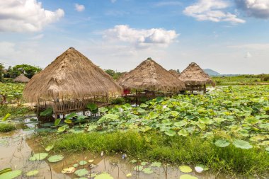 Siem Reap, Kamboçya - 11 Haziran 2018: Lotus çiftliğinin yakınlarında Siem Reap, Kamboçya'da bir yaz günü