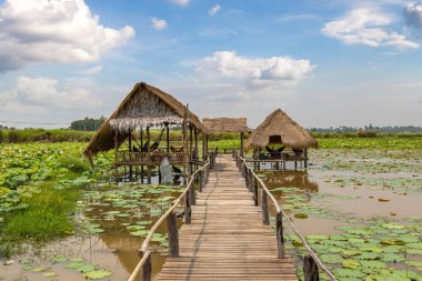 Siem Reap, Kamboçya - 11 Haziran 2018: Lotus çiftliğinin yakınlarında Siem Reap, Kamboçya'da bir yaz günü