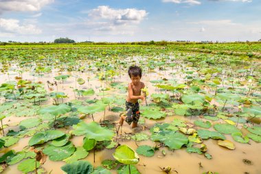 Siem Reap, Kamboçya - 11 Haziran 2018: Lotus Lotus çiftliğinin yakınlarında Siem Reap, Kamboçya'da bir yaz günü sahasının çocuk