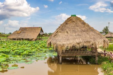 Siem Reap, Kamboçya - 11 Haziran 2018: Lotus çiftliğinin yakınlarında Siem Reap, Kamboçya'da bir yaz günü