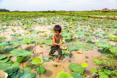 Siem Reap, Kamboçya - 11 Haziran 2018: Lotus Lotus çiftliğinin yakınlarında Siem Reap, Kamboçya'da bir yaz günü sahasının çocuk