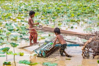 Siem Reap, Kamboçya - 11 Haziran 2018: Lotus Lotus çiftlik sahasının iki erkek Siem Reap, Kamboçya'da bir yaz günü yakın: