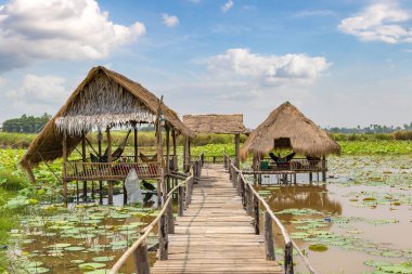 Siem Reap, Kamboçya - 11 Haziran 2018: Lotus çiftliğinin yakınlarında Siem Reap, Kamboçya'da bir yaz günü
