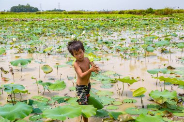 Siem Reap, Kamboçya - 11 Haziran 2018: Lotus Lotus çiftliğinin yakınlarında Siem Reap, Kamboçya'da bir yaz günü sahasının çocuk