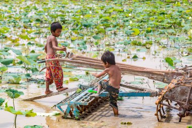 Siem Reap, Kamboçya - 11 Haziran 2018: Lotus Lotus çiftlik sahasının iki erkek Siem Reap, Kamboçya'da bir yaz günü yakın: