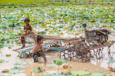 Siem Reap, Kamboçya - 11 Haziran 2018: Lotus Lotus çiftlik sahasının iki erkek Siem Reap, Kamboçya'da bir yaz günü yakın: