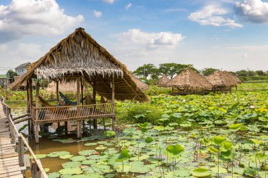 Siem Reap, Kamboçya - 11 Haziran 2018: Lotus çiftliğinin yakınlarında Siem Reap, Kamboçya'da bir yaz günü