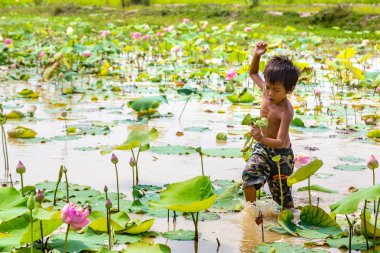Siem Reap, Kamboçya - 11 Haziran 2018: Lotus Lotus çiftliğinin yakınlarında Siem Reap, Kamboçya'da bir yaz günü sahasının çocuk