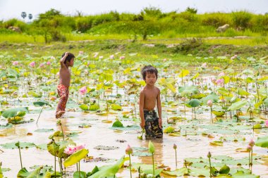 Siem Reap, Kamboçya - 11 Haziran 2018: Lotus Lotus çiftlik sahasının iki erkek Siem Reap, Kamboçya'da bir yaz günü yakın: