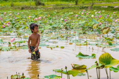 Siem Reap, Kamboçya - 11 Haziran 2018: Lotus Lotus çiftliğinin yakınlarında Siem Reap, Kamboçya'da bir yaz günü sahasının çocuk