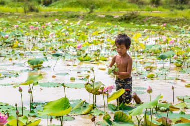 Siem Reap, Kamboçya - 11 Haziran 2018: Lotus Lotus çiftliğinin yakınlarında Siem Reap, Kamboçya'da bir yaz günü sahasının çocuk