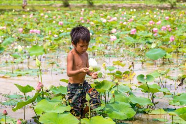 Siem Reap, Kamboçya - 11 Haziran 2018: Lotus Lotus çiftliğinin yakınlarında Siem Reap, Kamboçya'da bir yaz günü sahasının çocuk