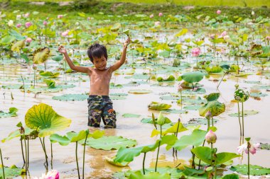 Siem Reap, Kamboçya - 11 Haziran 2018: Lotus Lotus çiftliğinin yakınlarında Siem Reap, Kamboçya'da bir yaz günü sahasının çocuk