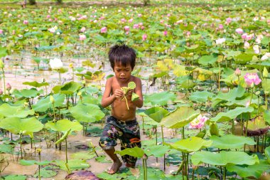 Siem Reap, Kamboçya - 11 Haziran 2018: Lotus Lotus çiftliğinin yakınlarında Siem Reap, Kamboçya'da bir yaz günü sahasının çocuk