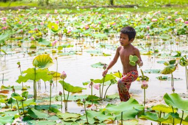 Siem Reap, Kamboçya - 11 Haziran 2018: Lotus Lotus çiftliğinin yakınlarında Siem Reap, Kamboçya'da bir yaz günü sahasının çocuk