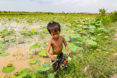Siem Reap, Kamboçya - 11 Haziran 2018: Lotus Lotus çiftliğinin yakınlarında Siem Reap, Kamboçya'da bir yaz günü sahasının çocuk