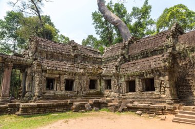 Ta Prohm tapınak kalıntıları olduğunu Khmer antik tapınak Siem Reap içinde karmaşık Angkor Wat, Kamboçya'da bir yaz günü