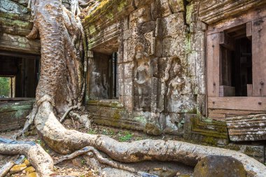 Ta Prohm tapınak kalıntıları olduğunu Khmer antik tapınak Siem Reap içinde karmaşık Angkor Wat, Kamboçya'da bir yaz günü