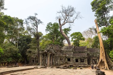 Ta Prohm tapınak kalıntıları olduğunu Khmer antik tapınak Siem Reap içinde karmaşık Angkor Wat, Kamboçya'da bir yaz günü