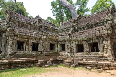 Ta Prohm tapınak kalıntıları olduğunu Khmer antik tapınak Siem Reap içinde karmaşık Angkor Wat, Kamboçya'da bir yaz günü