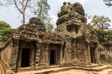 Ta Prohm tapınak kalıntıları olduğunu Khmer antik tapınak Siem Reap içinde karmaşık Angkor Wat, Kamboçya'da bir yaz günü