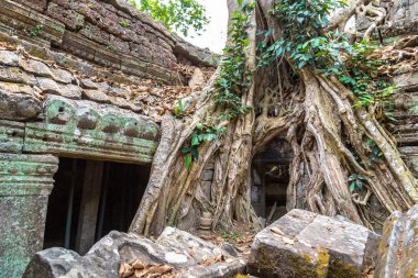 Ta Prohm tapınak kalıntıları olduğunu Khmer antik tapınak Siem Reap içinde karmaşık Angkor Wat, Kamboçya'da bir yaz günü