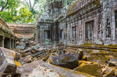 Ta Prohm tapınak kalıntıları olduğunu Khmer antik tapınak Siem Reap içinde karmaşık Angkor Wat, Kamboçya'da bir yaz günü