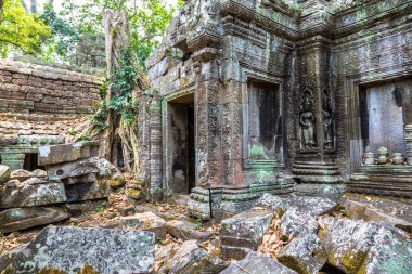 Ta Prohm tapınak kalıntıları olduğunu Khmer antik tapınak Siem Reap içinde karmaşık Angkor Wat, Kamboçya'da bir yaz günü
