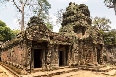 Ta Prohm tapınak kalıntıları olduğunu Khmer antik tapınak Siem Reap içinde karmaşık Angkor Wat, Kamboçya'da bir yaz günü
