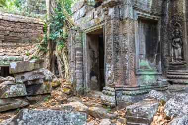 Ta Prohm tapınak kalıntıları olduğunu Khmer antik tapınak Siem Reap içinde karmaşık Angkor Wat, Kamboçya'da bir yaz günü
