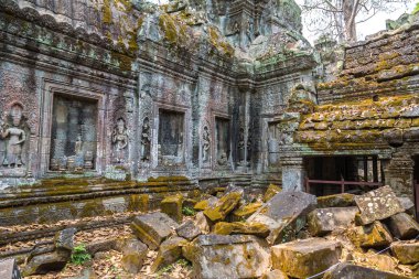 Ta Prohm tapınak kalıntıları olduğunu Khmer antik tapınak Siem Reap içinde karmaşık Angkor Wat, Kamboçya'da bir yaz günü