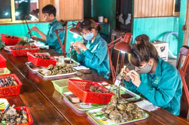 Halong, Vietnam - 17 Haziran 2018: Halong Bay, bir yaz günü Vietnam'da inci çiftliğinde inci implantasyon