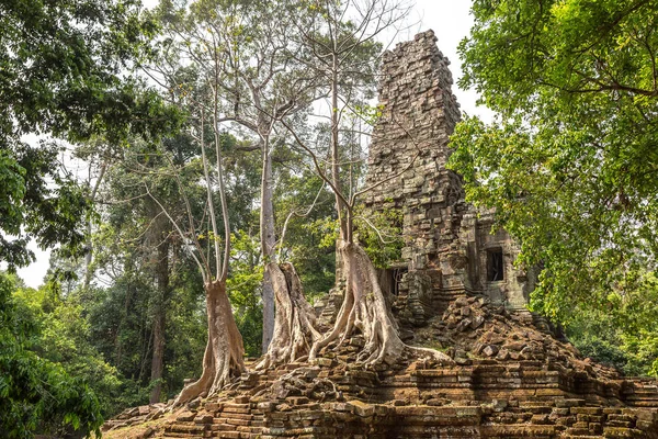 Preah Palilay Tempelruinen Ist Khmer Alten Tempel Komplexen Angkor Wat — Stockfoto