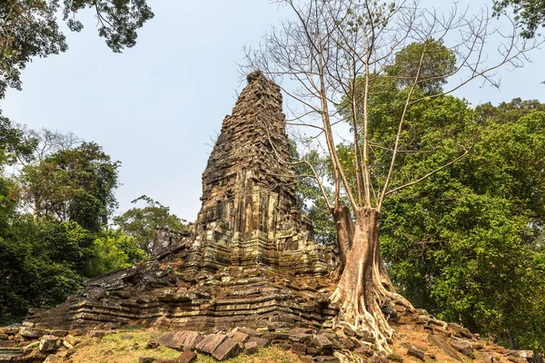 Preah Palilay Rovine Tempio Khmer Antico Tempio Nel Complesso Angkor — Foto Stock