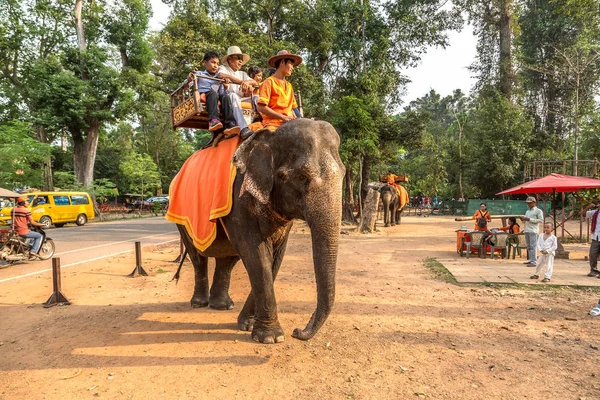 Angkor Wat, Kamboçya - 15 Mart 2018: Turist vasıl Angkor Wat, Siem Reap, Kamboçya'da bir yaz günü yakınındaki alan bir fil binmek