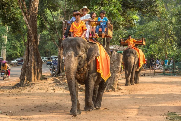 Angkor Wat, Kamboçya - 15 Mart 2018: Turist vasıl Angkor Wat, Siem Reap, Kamboçya'da bir yaz günü yakınındaki alan bir fil binmek
